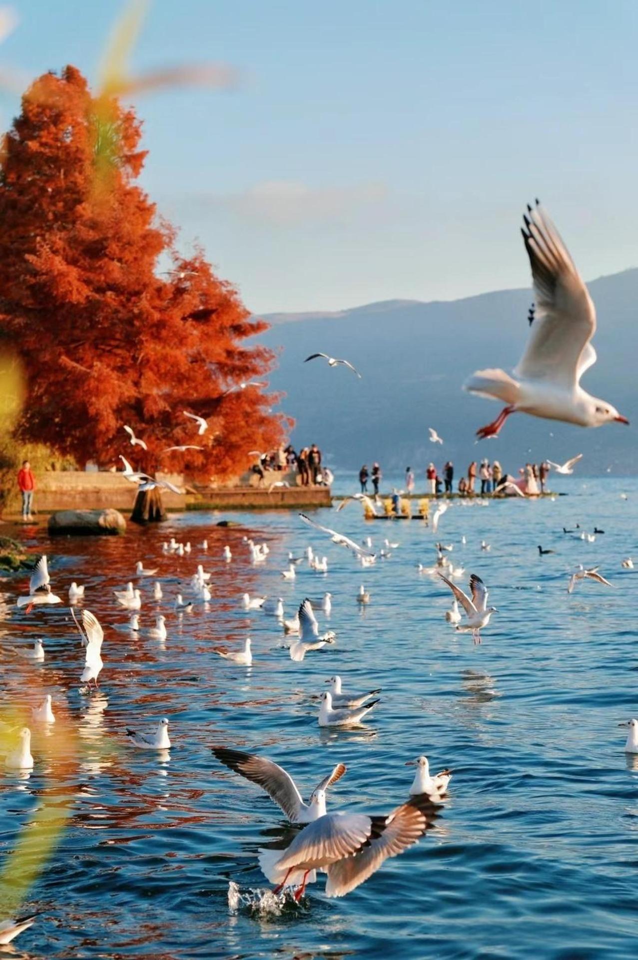Dali Nest Secret Garden Lake View Inn Екстериор снимка