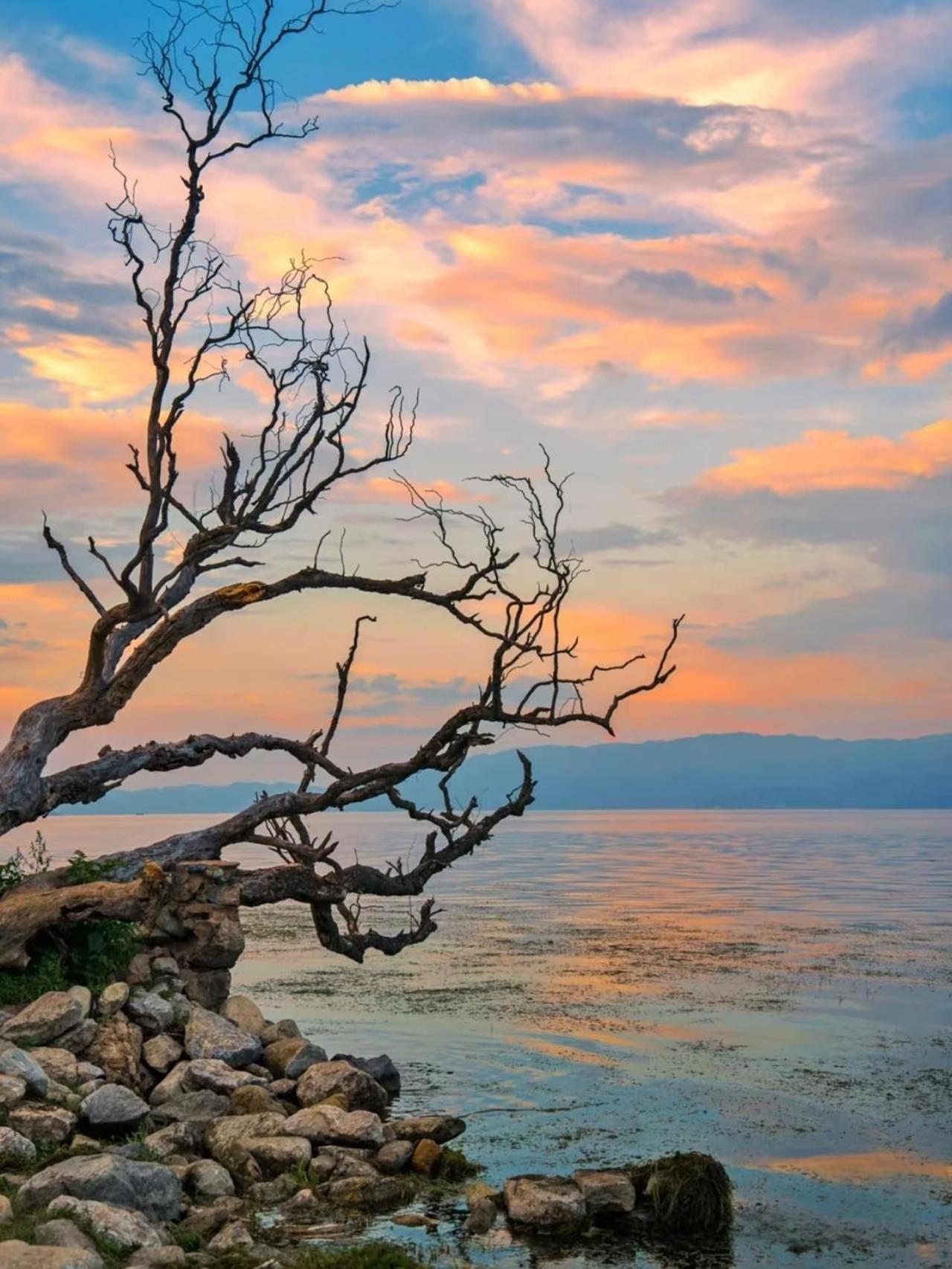 Dali Nest Secret Garden Lake View Inn Екстериор снимка